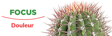 Focus - Douleur