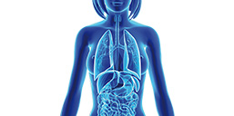 Probiotiques : des protecteurs du microbiote vaginal